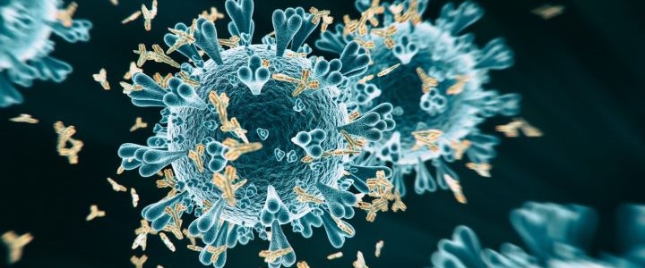 Immunotherapy, definition and functioning.