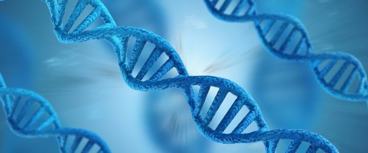Quels biomarqueurs et mutations génétiques sont impliqués dans le cancer du sein ?